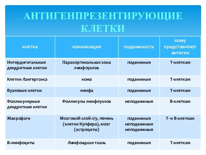 АНТИГЕНПРЕЗЕНТИРУЮЩИЕ КЛЕТКИ