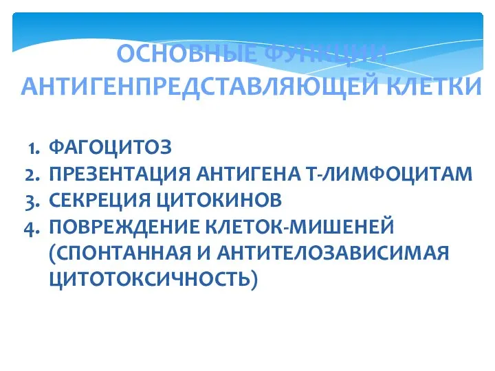 ОСНОВНЫЕ ФУНКЦИИ АНТИГЕНПРЕДСТАВЛЯЮЩЕЙ КЛЕТКИ ФАГОЦИТОЗ ПРЕЗЕНТАЦИЯ АНТИГЕНА Т-ЛИМФОЦИТАМ СЕКРЕЦИЯ ЦИТОКИНОВ ПОВРЕЖДЕНИЕ КЛЕТОК-МИШЕНЕЙ (СПОНТАННАЯ И АНТИТЕЛОЗАВИСИМАЯ ЦИТОТОКСИЧНОСТЬ)