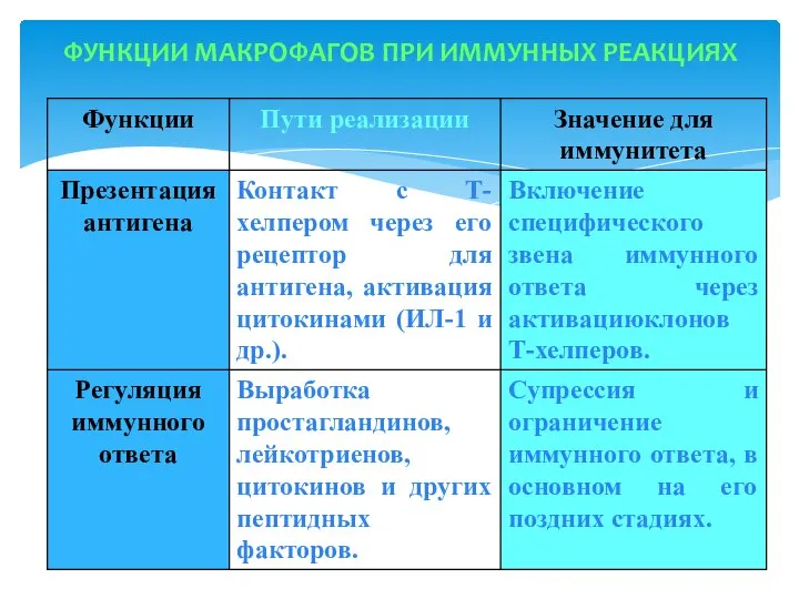 ФУНКЦИИ МАКРОФАГОВ ПРИ ИММУННЫХ РЕАКЦИЯХ