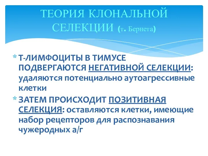 Т-ЛИМФОЦИТЫ В ТИМУСЕ ПОДВЕРГАЮТСЯ НЕГАТИВНОЙ СЕЛЕКЦИИ: удаляются потенциально аутоагрессивные клетки ЗАТЕМ