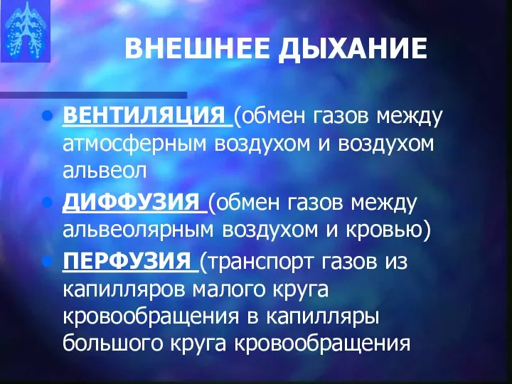 ВНЕШНЕЕ ДЫХАНИЕ ВЕНТИЛЯЦИЯ (обмен газов между атмосферным воздухом и воздухом альвеол