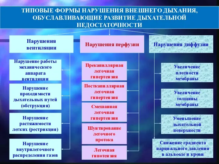 ТИПОВЫЕ ФОРМЫ НАРУШЕНИЯ ВНЕШНЕГО ДЫХАНИЯ, ОБУСЛАВЛИВАЮЩИЕ РАЗВИТИЕ ДЫХАТЕЛЬНОЙ НЕДОСТАТОЧНОСТИ Нарушения вентиляции