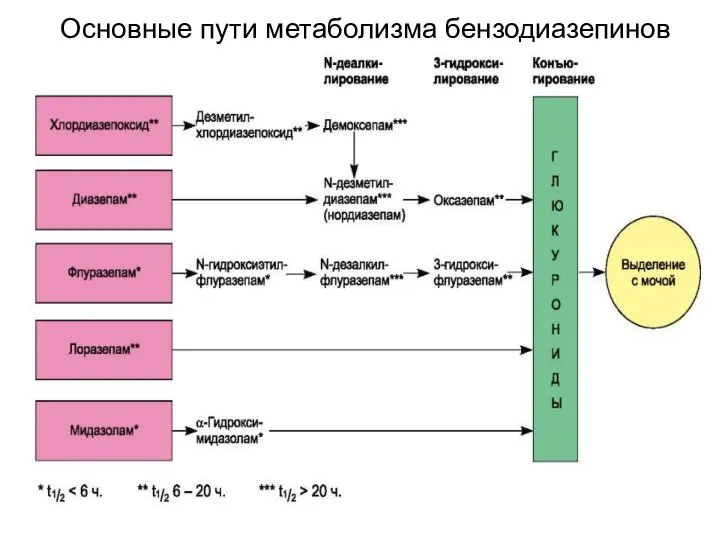 Основные пути метаболизма бензодиазепинов