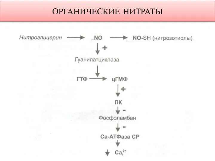 ОРГАНИЧЕСКИЕ НИТРАТЫ