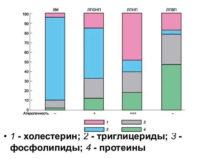 1 - холестерин; 2 - триглицериды; 3 - фосфолипиды; 4 - протеины