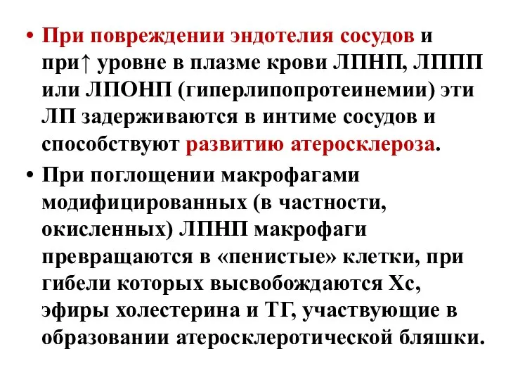 При повреждении эндотелия сосудов и при↑ уровне в плазме крови ЛПНП,