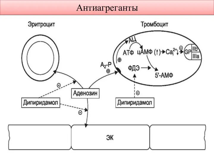 Антиагреганты