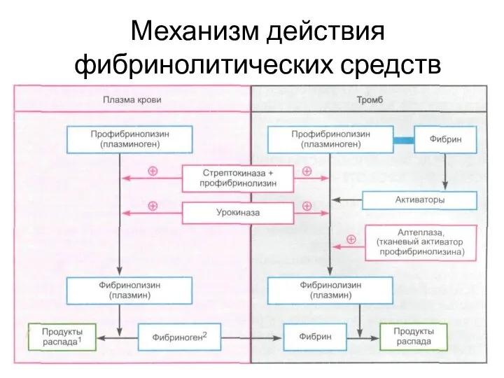 Механизм действия фибринолитических средств