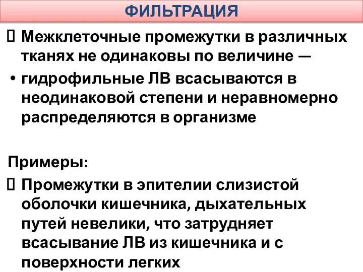 ФИЛЬТРАЦИЯ Межклеточные промежутки в различных тканях не одинаковы по величине —