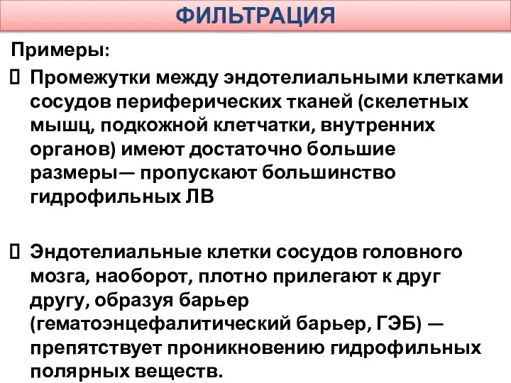 ФИЛЬТРАЦИЯ Примеры: Промежутки между эндотелиальными клетками сосудов периферических тканей (скелетных мышц,