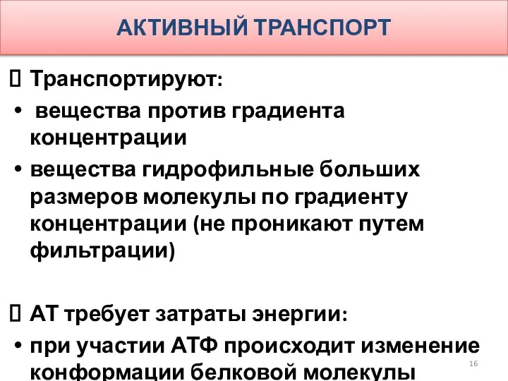 АКТИВНЫЙ ТРАНСПОРТ Транспортируют: вещества против градиента концентрации вещества гидрофильные больших размеров