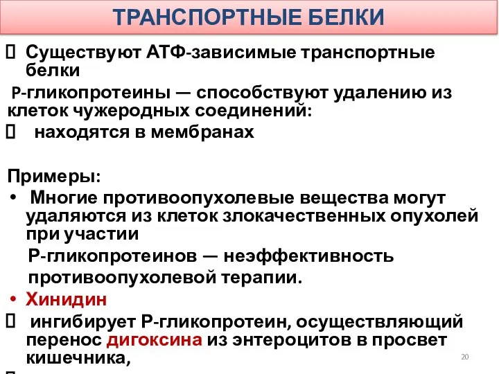 ТРАНСПОРТНЫЕ БЕЛКИ Существуют АТФ-зависимые транспортные белки P-гликопротеины — способствуют удалению из