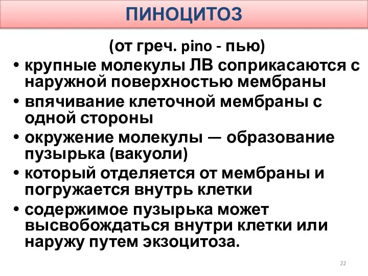 ПИНОЦИТОЗ (от греч. pino - пью) крупные молекулы ЛВ соприкасаются с