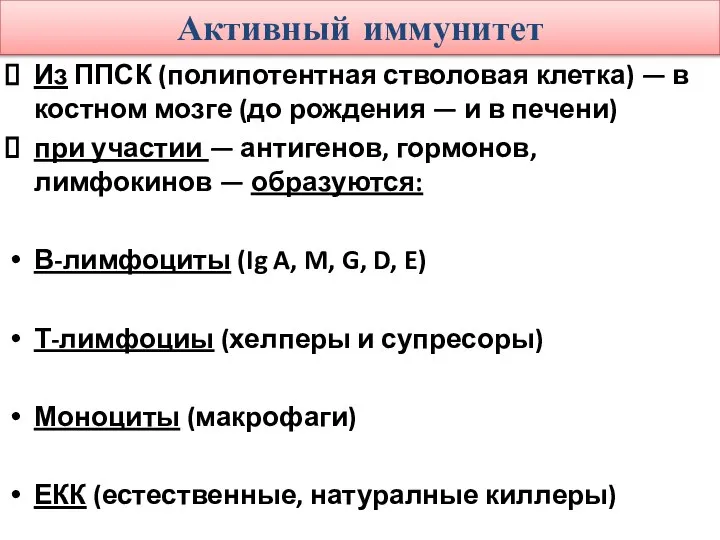 Активный иммунитет Из ППСК (полипотентная стволовая клетка) — в костном мозге