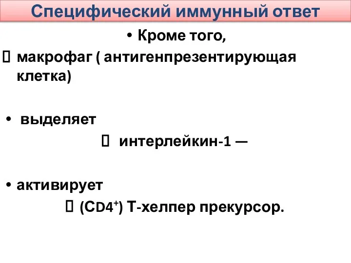 Специфический иммунный ответ Кроме того, макрофаг ( антигенпрезентирующая клетка) выделяет интерлейкин-1 — активирует (СD4+) Т-хелпер прекурсор.