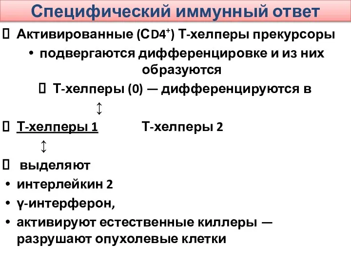 Специфический иммунный ответ Активированные (СD4+) Т-хелперы прекурсоры подвергаются дифференцировке и из