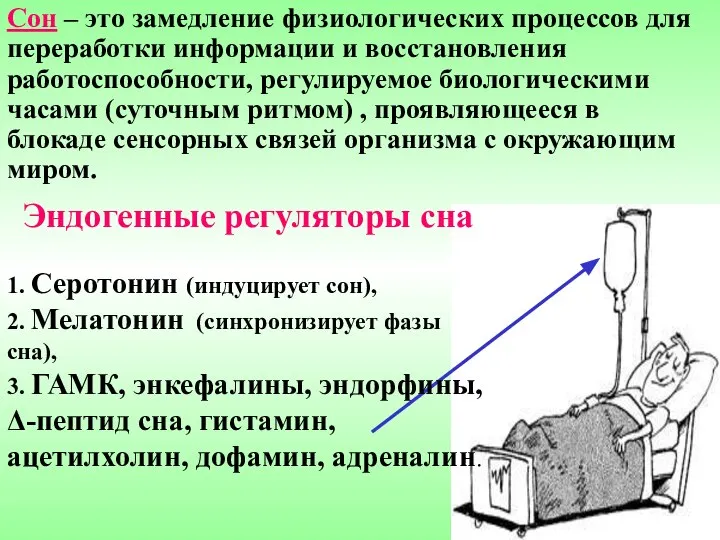 Сон – это замедление физиологических процессов для переработки информации и восстановления