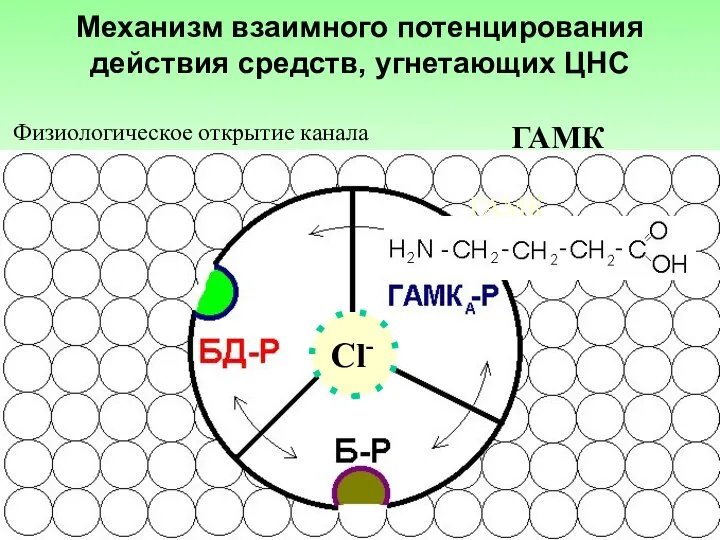 ГАМК Сl- ГАМК Механизм взаимного потенцирования действия средств, угнетающих ЦНС Физиологическое открытие канала