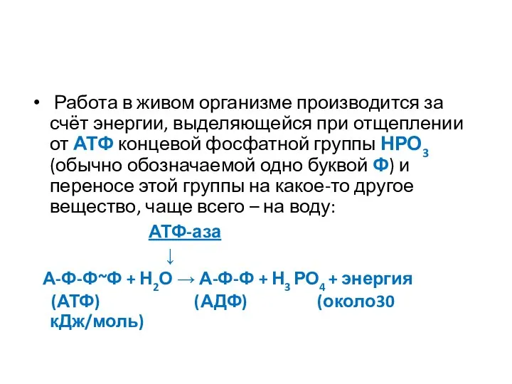 Работа в живом организме производится за счёт энергии, выделяющейся при отщеплении