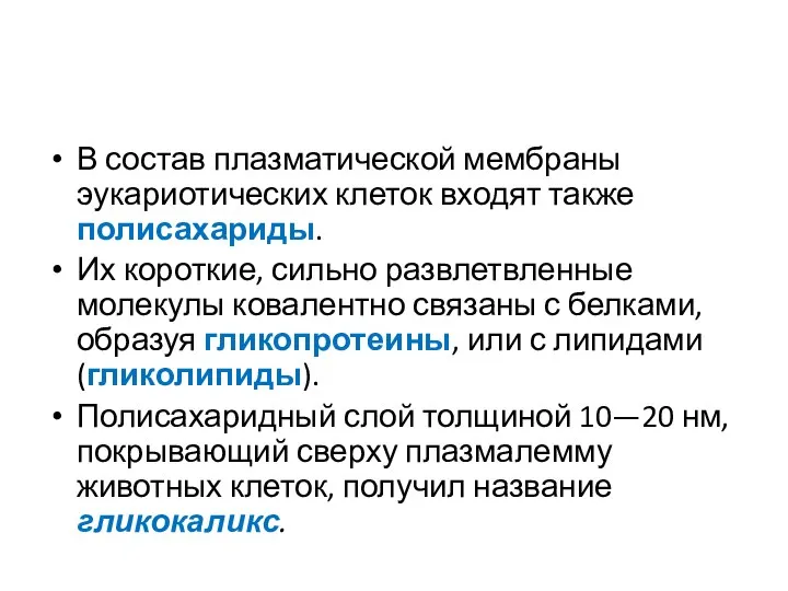 В состав плазматической мембраны эукариотических клеток входят также полисахариды. Их короткие,