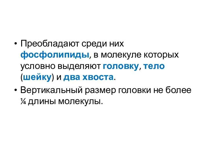 Преобладают среди них фосфолипиды, в молекуле которых условно выделяют головку, тело