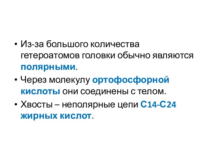 Из-за большого количества гетероатомов головки обычно являются полярными. Через молекулу ортофосфорной