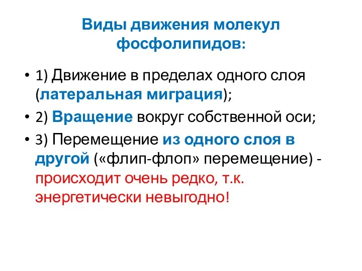 Виды движения молекул фосфолипидов: 1) Движение в пределах одного слоя (латеральная