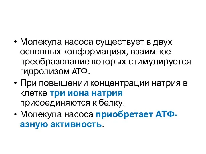 Молекула насоса существует в двух основных конформациях, взаимное преобразование которых стимулируется