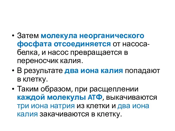 Затем молекула неорганического фосфата отсоединяется от насоса-белка, и насос превращается в