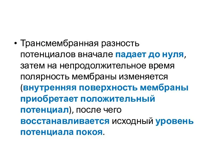 Трансмембранная разность потенциалов вначале падает до нуля, затем на непродолжительное время