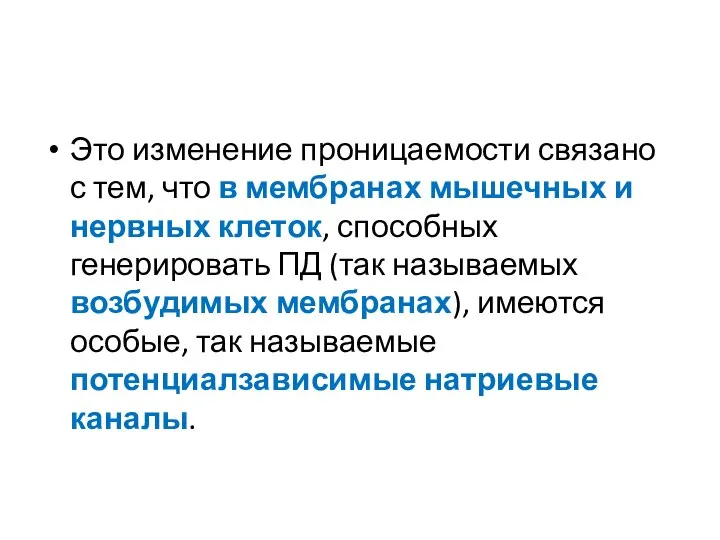 Это изменение проницаемости связано с тем, что в мембранах мышечных и