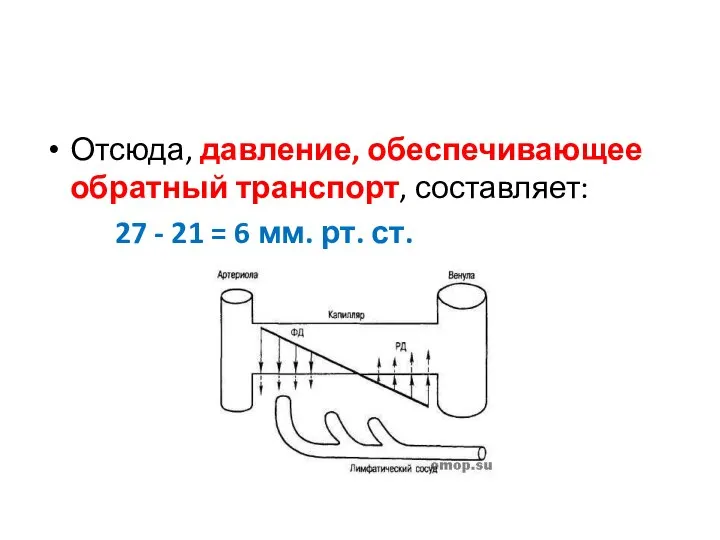 Отсюда, давление, обеспечивающее обратный транспорт, составляет: 27 - 21 = 6 мм. рт. ст.