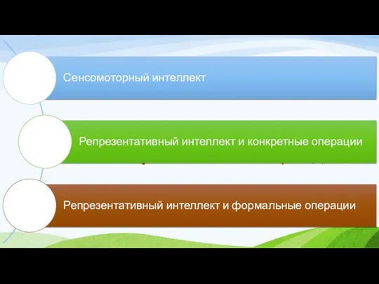 …процесс развития интеллекта состоит из трёх больших периодов