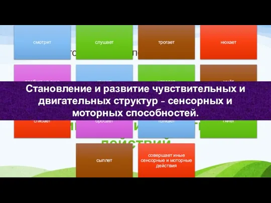 Сенсомоторный интеллект новорождённый воспринимает мир, не зная себя как субъекта, не