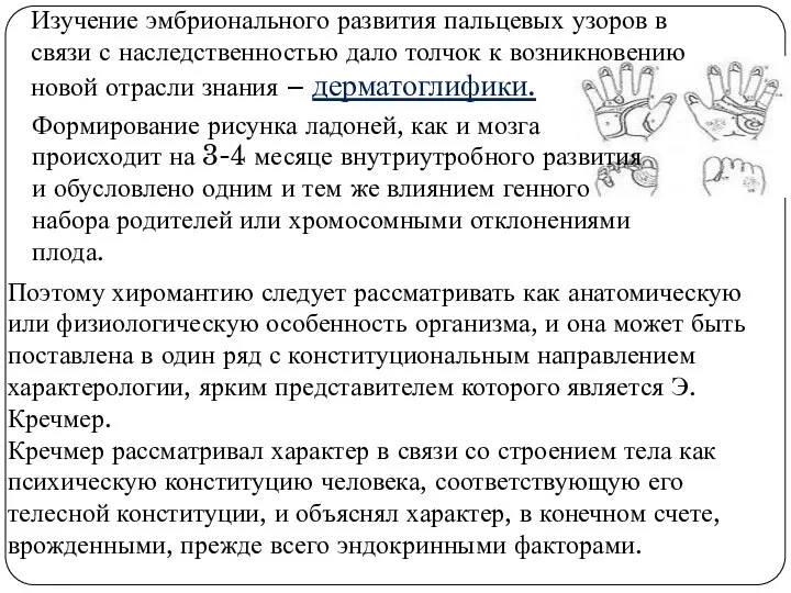 Изучение эмбрионального развития пальцевых узоров в связи с наследственностью дало толчок