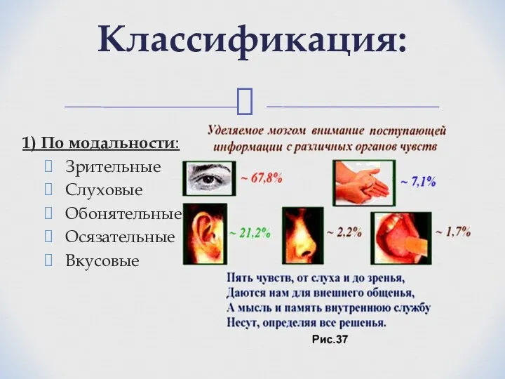 1) По модальности: Зрительные Слуховые Обонятельные Осязательные Вкусовые Классификация: