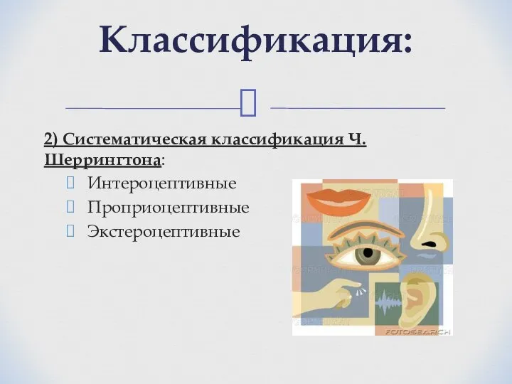 2) Систематическая классификация Ч. Шеррингтона: Интероцептивные Проприоцептивные Экстероцептивные Классификация: