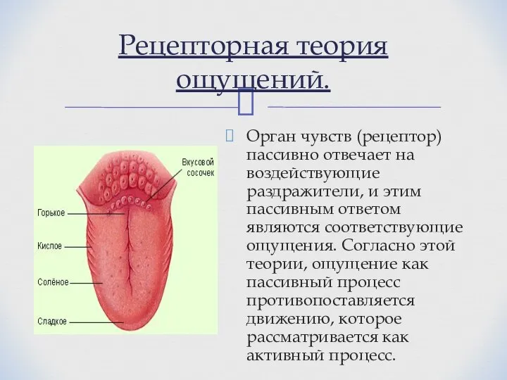 Орган чувств (рецептор) пассивно отвечает на воздействующие раздражители, и этим пассивным