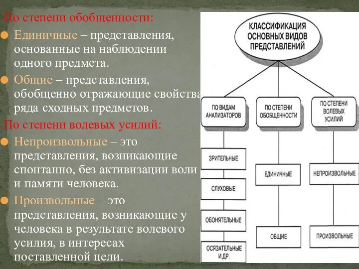 По степени обобщенности: Единичные – представления, основанные на наблюдении одного предмета.