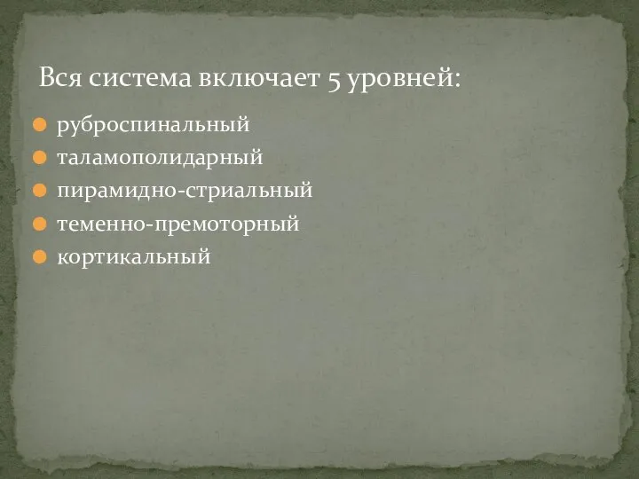 руброспинальный таламополидарный пирамидно-стриальный теменно-премоторный кортикальный Вся система включает 5 уровней: