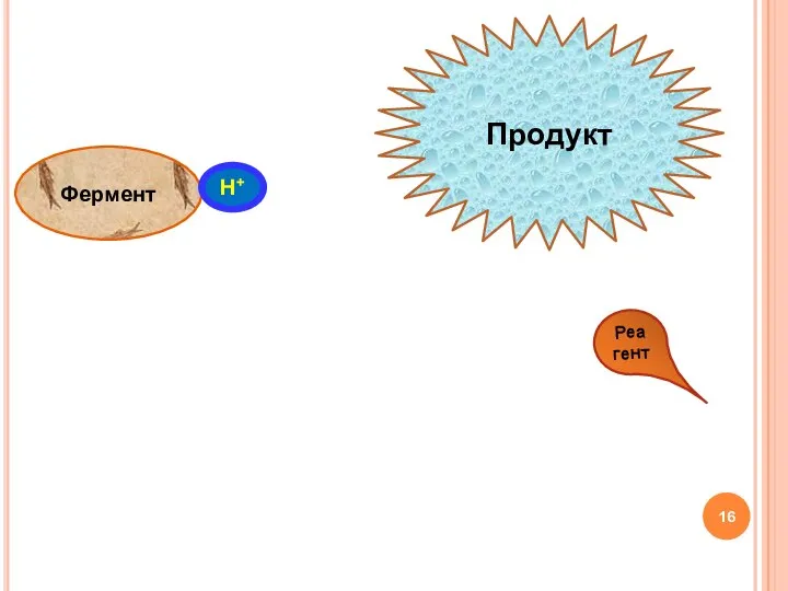 Фермент Н+ Субстрат Реагент Продукт