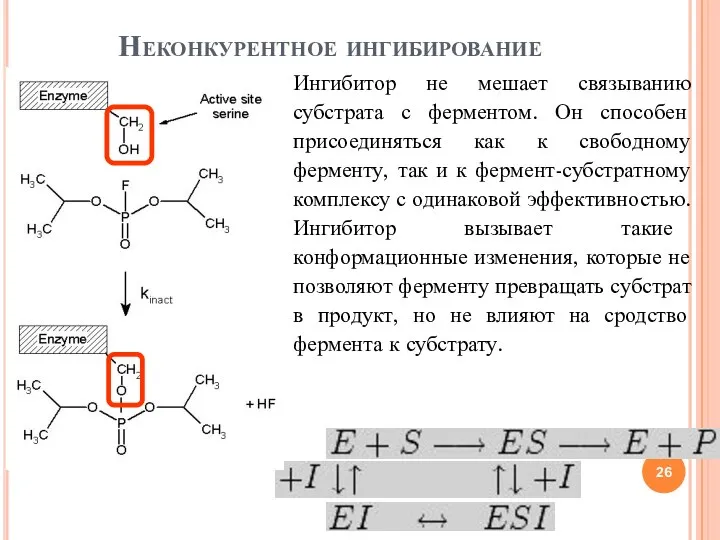 Неконкурентное ингибирование Ингибитор не мешает связыванию субстрата с ферментом. Он способен