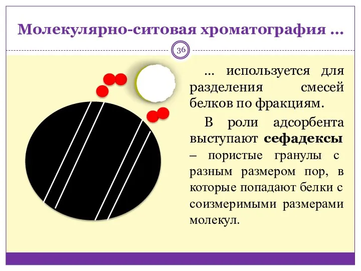 Молекулярно-ситовая хроматография … … используется для разделения смесей белков по фракциям.