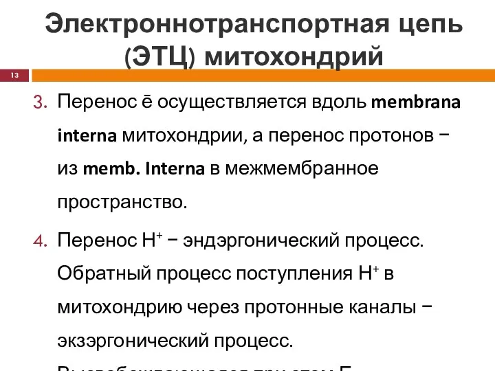 Электроннотранспортная цепь (ЭТЦ) митохондрий Перенос ē осуществляется вдоль membrana interna митохондрии,