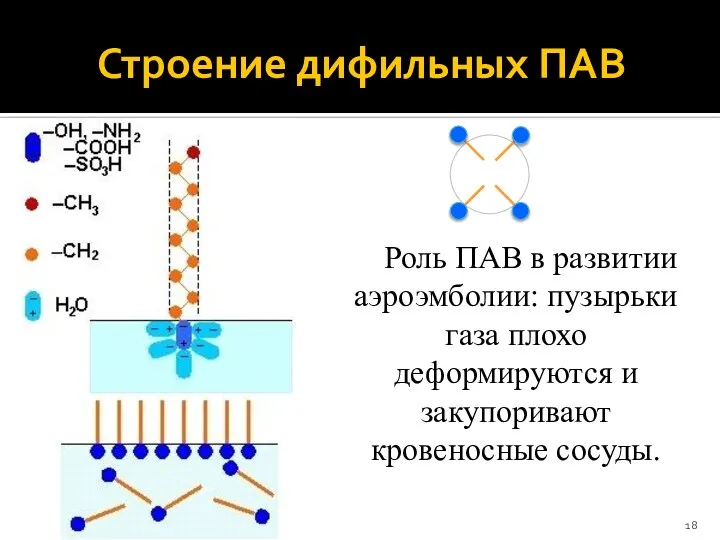 Роль ПАВ в развитии аэроэмболии: пузырьки газа плохо деформируются и закупоривают кровеносные сосуды. Строение дифильных ПАВ