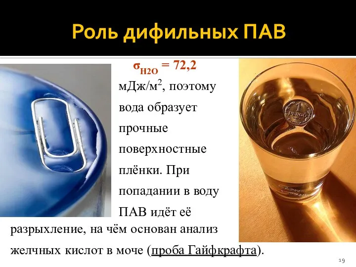 Роль дифильных ПАВ σН2О = 72,2 мДж/м2, поэтому вода образует прочные