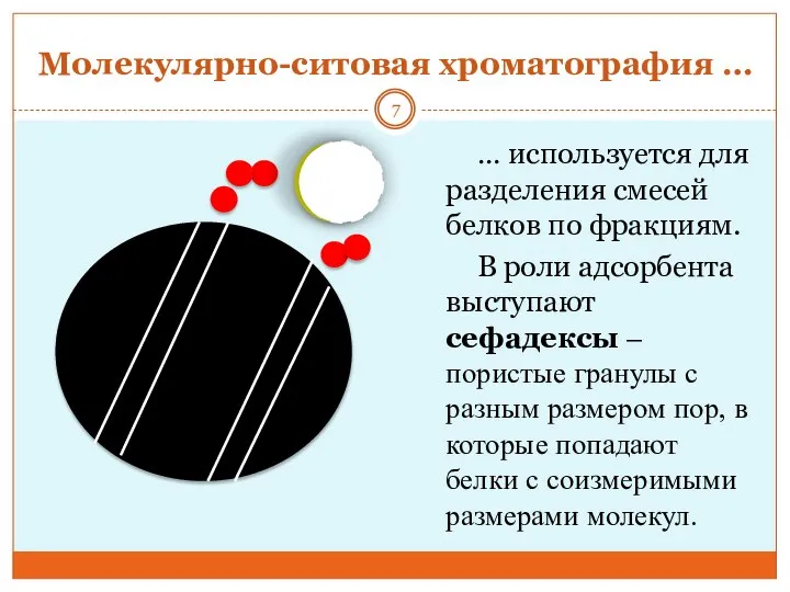 Молекулярно-ситовая хроматография … … используется для разделения смесей белков по фракциям.