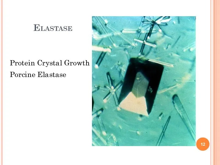 Elastase Protein Crystal Growth Porcine Elastase