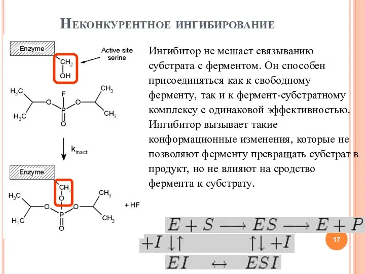 Неконкурентное ингибирование Ингибитор не мешает связыванию субстрата с ферментом. Он способен