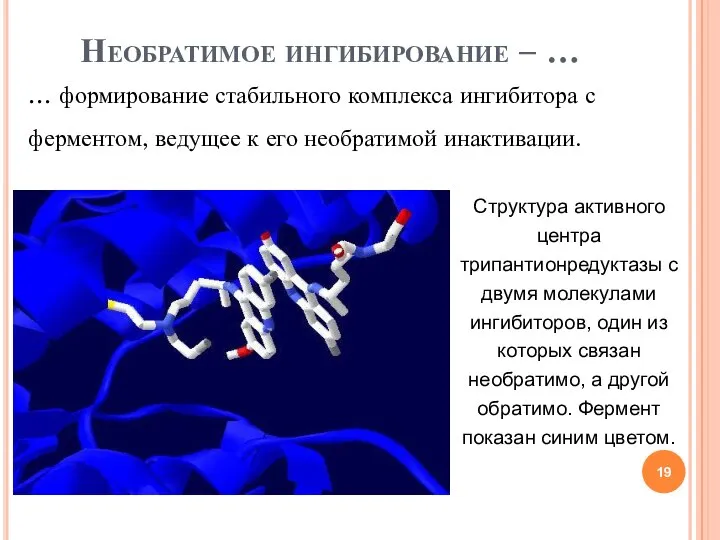 Необратимое ингибирование – … … формирование стабильного комплекса ингибитора с ферментом,